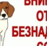 ОТЛОВ ЖИВОТНЫХ БЕЗ ВЛАДЕЛЬЦЕВ НА ТЕРРИТОРИИ НОВООРСКОГО РАЙОНА ОРЕНБУРГСКОЙ ОБЛАСТИ - Новоорский район